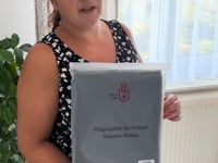 Fliegengitter für Fenster